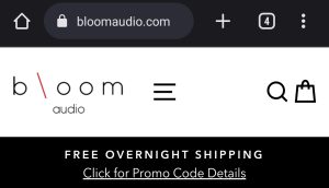 Bloom Audio Review 